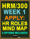 HRM/300 WK1 HR ROLES MIND MAP